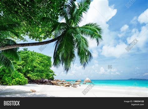 Tropical Seychelles Image & Photo (Free Trial) | Bigstock