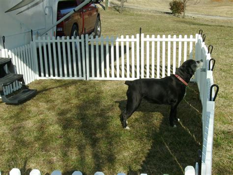 dog fence ideas for camping - Demetria Kenny