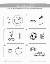 Color & Compare Weights Of Objects  Worksheet Educationcom sketch template