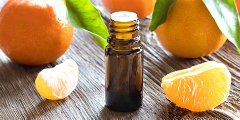 Minimize Cellulite with Tangerine Essential Oil - Ask Frannie ...