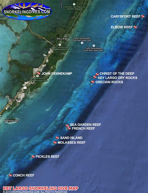 Best White Bank Reef Snorkeling Review | Key Largo, Florida Keys
