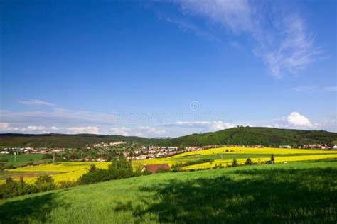 Spring landscape stock photo. Image of yellow, grass - 14287812