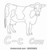 C Cow Coloring Page Stock Illustration 185935853  Shutterstock sketch template