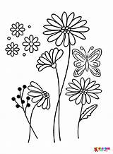Más De 40 Páginas Para Colorear Margaritas Imprimibles Gratis En  sketch template