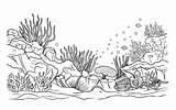 Underwater World coloring Page Coloring Life In The Ocean With  sketch template