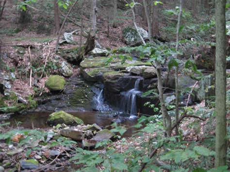 Anne's Creative Cornucopia: Dudley Town Waterfalls/Cascades - Pictures