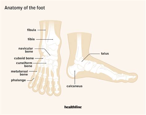 Foot Pain: Causes, Treatment, Prevention, and More