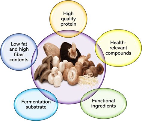 The Fruitarian Diet: Benefits And Risks: Unveiling the Power of Plant ...