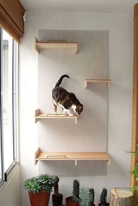 30 Modern DIY Cat Playground Ideas In Your Interior | Home Design And Interior | Cat wall ...
