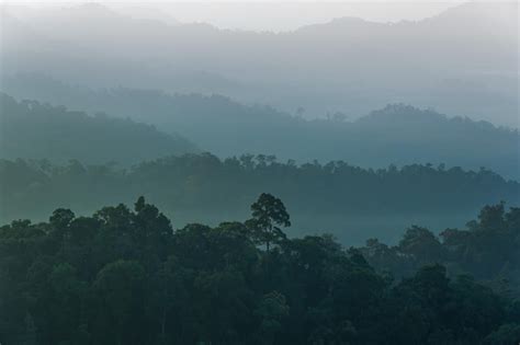 Premium Photo | Beautiful sunrise at misty morning mountains