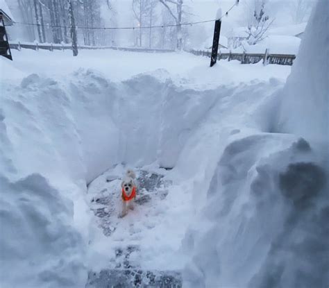 Buffalo region continues to be bombarded with lake-effect snow - Record ...