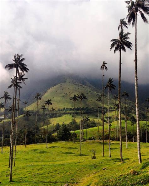 50 Lugares turísticos de Colombia que debes conocer en tu vida | Travelgrafía | Beautiful places ...