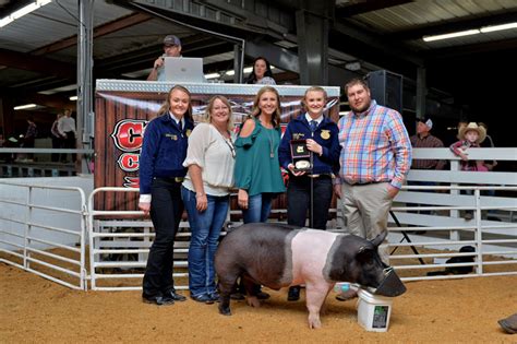 Livestock Exhibits – Florida Gateway Fairgrounds formerly Columbia County Fairgrounds