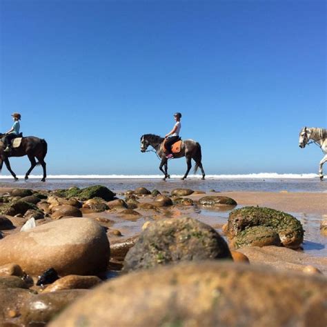 Agadir: Beach Sunset Horse Riding Tour With Transfer