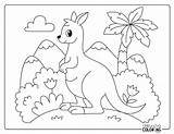 19 Kangaroo Coloring Pages Free PDF Printables  Simply Love sketch template