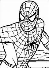 Spiderman Coloring Pages  Free Printable For Kids sketch template