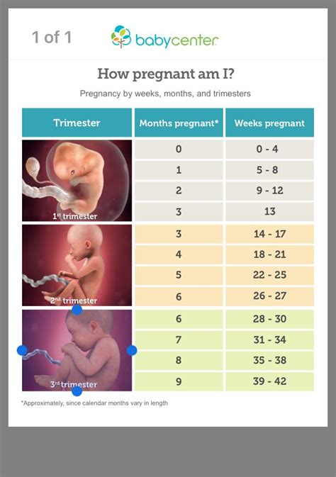 Pin by Terrell Peterson on Baby announcement | 2nd trimester of pregnancy, Trimesters of ...