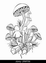 Moss Coloring Page sketch template