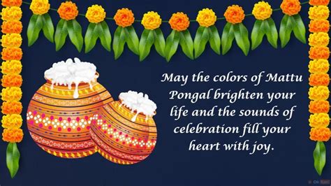 Mattu Pongal 2024: Happy Mattu Pongal Wishes, Images and Quotes in English | OkRani.com