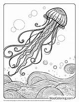 100  Jellyfish coloring Pages Free PDF To Print Woo Coloring sketch template