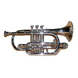 Cornet Instrument at Rs 3500/piece(s) | Cornet | ID: 1721298912