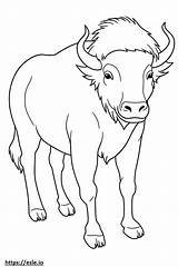 Buffalo Playing coloring Page sketch template