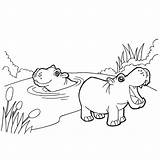 Cartoon Hippo Coloring Pages At GetColoringscom  Free Printable sketch template
