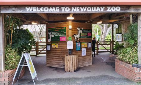 Newquay Zoo - Newquay | Cornwall Guide