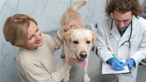 ¿Cuánto cuestan los servicios más frecuentes de una clínica veterinaria ...