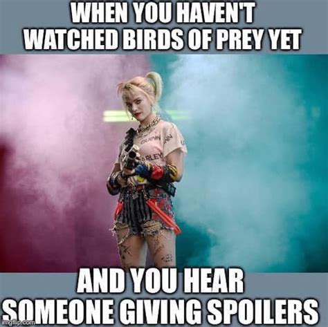 9 Funny Harley Quinn And Birds Of Prey Memes