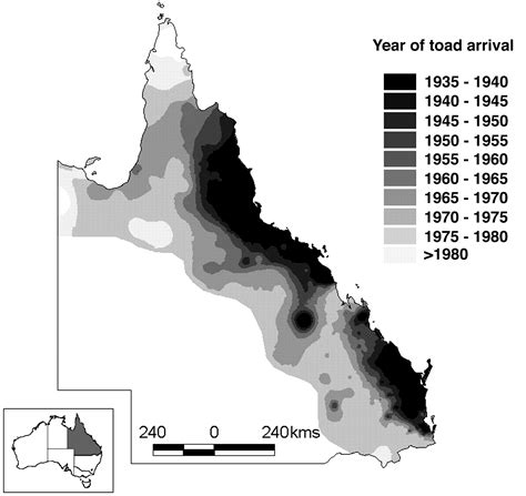 Adapting to an invasive species: Toxic cane toads induce morphological ...