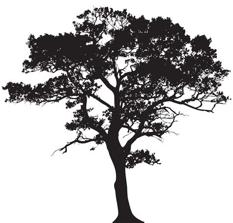 Tree Silhouette Clip Art Silhouette Tree Png Clip Art Image Png 2331 | The Best Porn Website