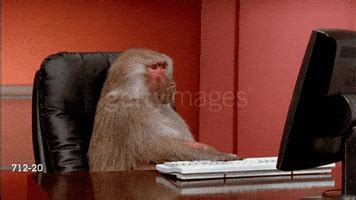 Typing Monkey GIFs - Find & Share on GIPHY