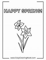 Free Daffodil Coloring Pages Printable PDFs  The Cozy Nook sketch template