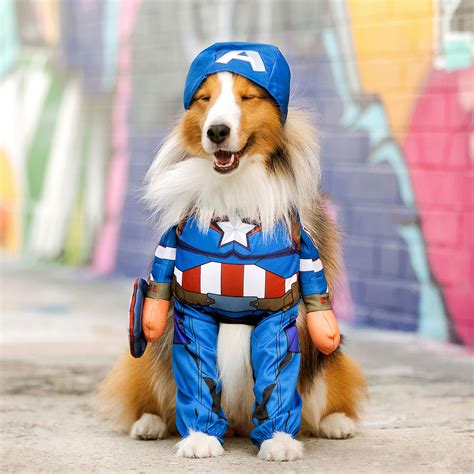 Dog Superhero Costumes: Halloween Costumes for Canine Crimefighters