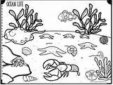 Ocean Animal Habitat Coloring Pages Coloring Pages sketch template