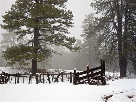 soaztim: Flagstaff Winter Wonderland Weekend.