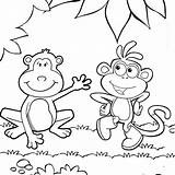 Funny Two Monkeys Cartoon Coloring Page  Mitraland sketch template