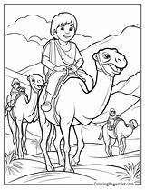 18 Camel Coloring Pages Free Printable PDFs  List sketch template