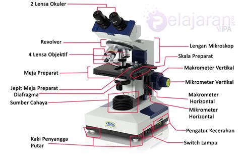 Mikroskop Binokuler - Pengertian, Jenis, Bagian dan Fungsinya Lengkap dengan Penjelasan