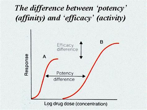 7 things to know about buprenorphine