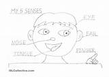 Five Senses Coloring Pages  Nation sketch template