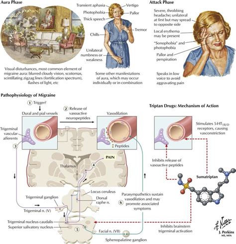 Drugs Used in Disorders of the Central Nervous System and Treatment of ...