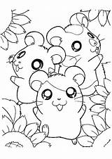 Coloring Pages For Kids  Download Cool HD wallpapers Here sketch template