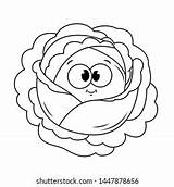 Cabbage Coloring Pages sketch template
