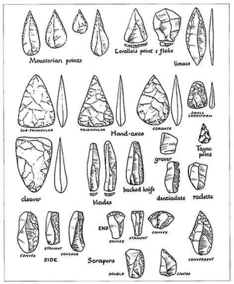 In History: Middle Stone Age or Mesolithic Age