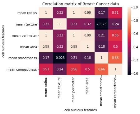 Python correlation matrix tutorial (Using Pandas)