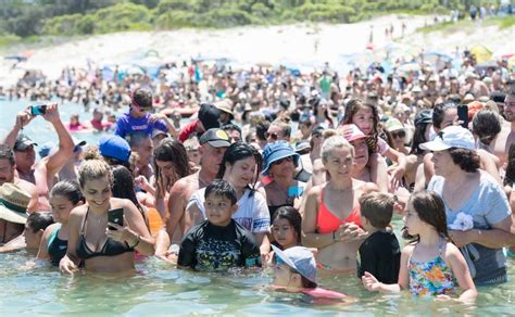 Temperatures In Australia Hit 117 Degrees As Sydney Sees Hottest Day In 78 Years | HuffPost UK ...