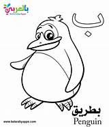 Free Arabic Alphabet Coloring Pages For Kindergarten ⋆ Belarabyapps sketch template