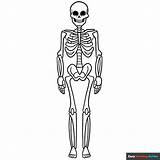 Free Printable Human Body Coloring Pages For Kids sketch template